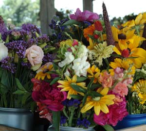 Supporting local, organic farms is a great idea, but—just like a marriage—it requires flexibility. While conventional florists reach globally to provide flowers on demand, weather and soil conditions constrain local growers.